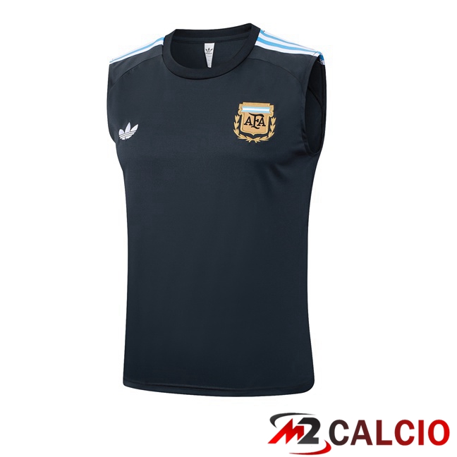 Canotta Allenamento Argentina Blu Reale 2025/2026