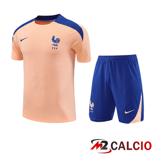 Insieme T Shirt Allenamento Francia Bambino Rosa/Blu 2025/2026