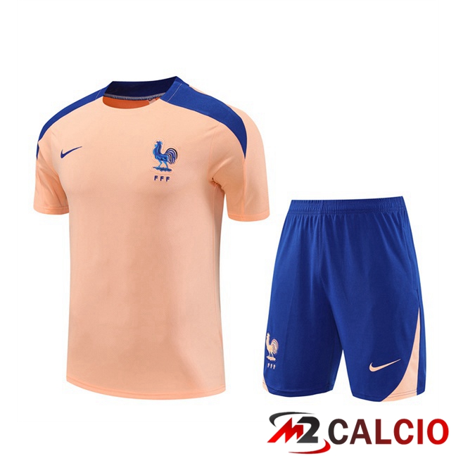 Insieme T Shirt Allenamento Francia + Pantaloncini Rosa 2025/2026