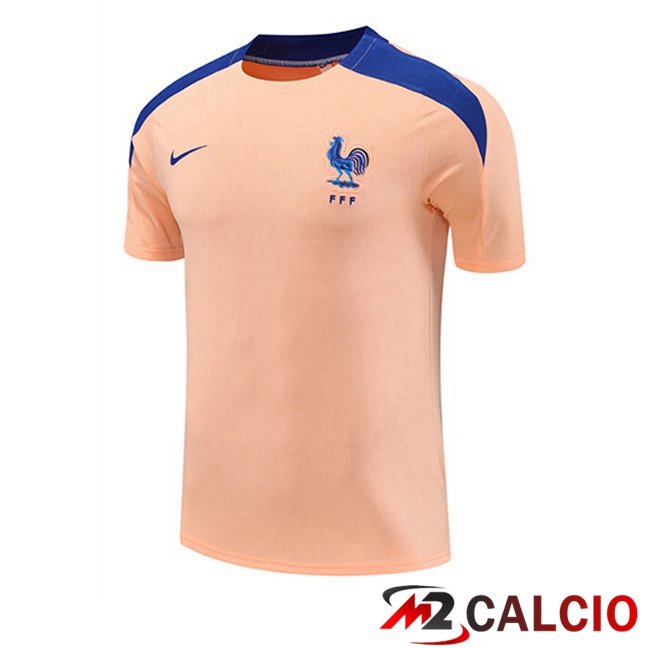 T Shirt Allenamento Francia Rosa 2025/2026