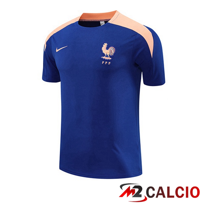 T Shirt Allenamento Francia 2025/2026