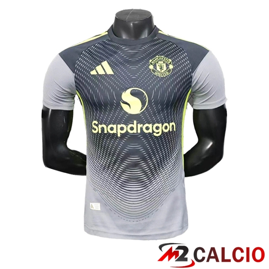 Maglie Calcio Manchester United Edizione Speciale Grigio 2025 2026