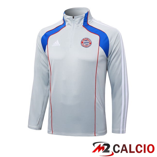 Felpa Allenamento Bayern Monaco Grigio 2025/2026