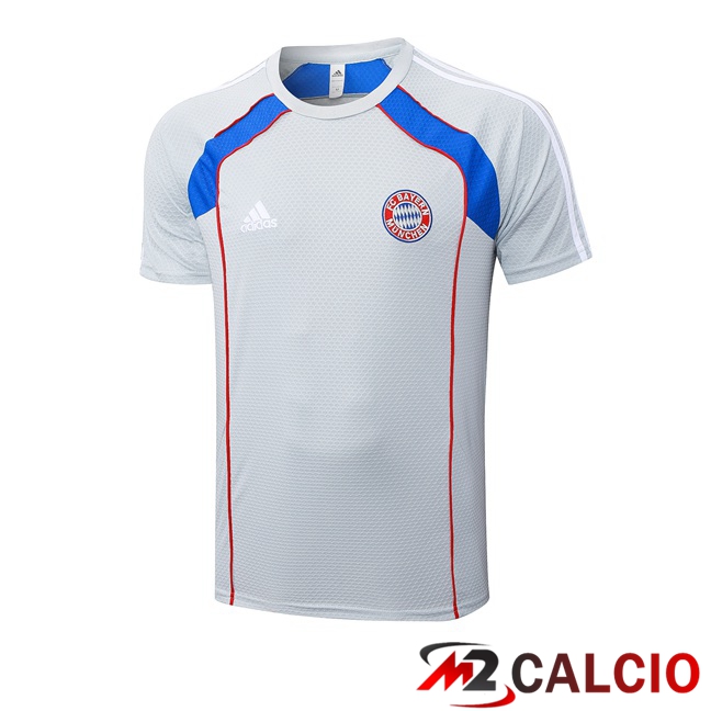 T Shirt Allenamento Bayern Monaco Grigio 2025/2026