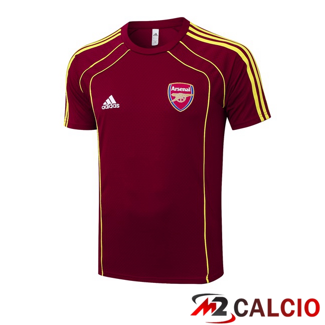 T Shirt Allenamento Arsenal Rosso 2025/2026