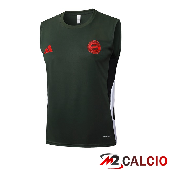 Canotta Allenamento Bayern Monaco Verde 2025/2026
