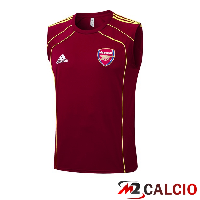 Canotta Allenamento Arsenal Rosso 2025/2026