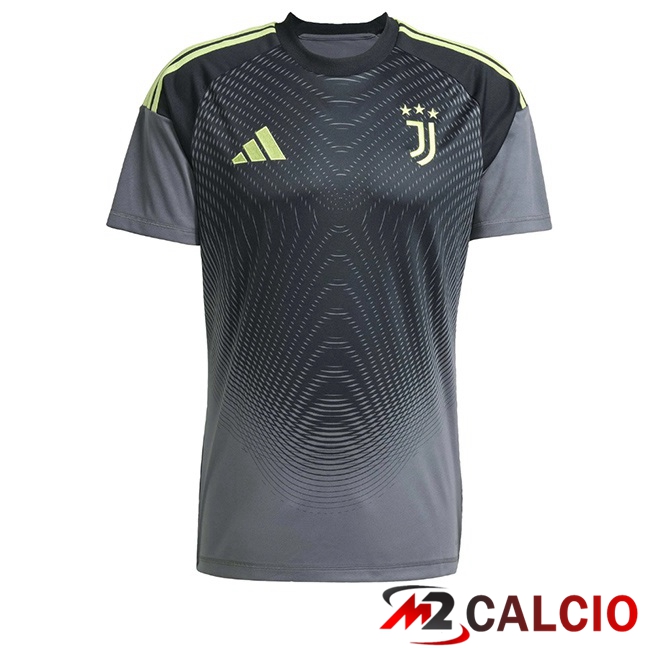 Maglie Calcio Juventus Portiere Grigio 2025/2026