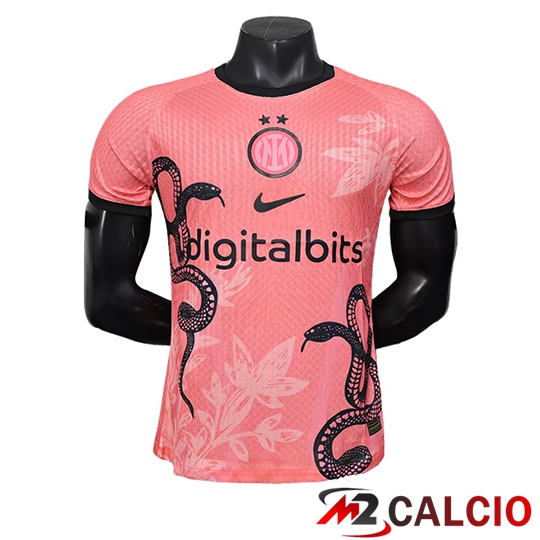 Maglie Calcio Inter Milan Edizione Speciale Rosa 2025 2026