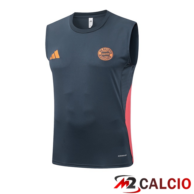 Canotta Allenamento Bayern Monaco Grigio 2025/2026