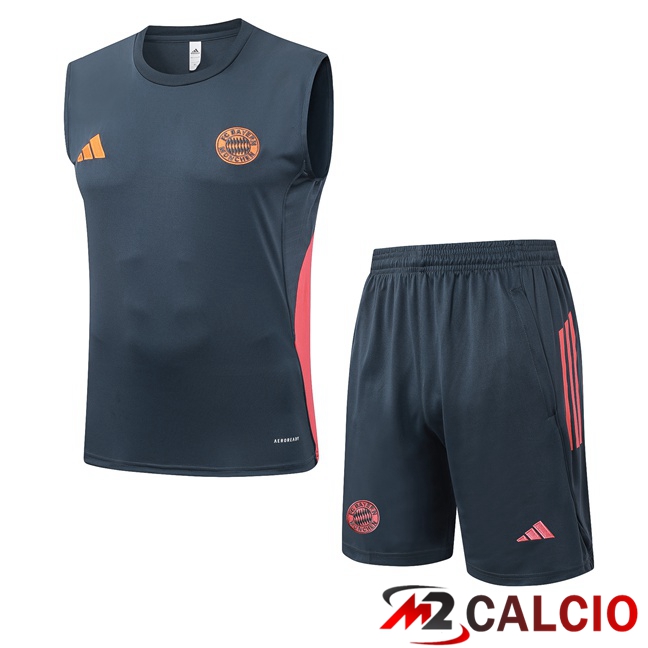 Canotta Allenamento Bayern Monaco + Pantaloncini Grigio 2025/2026