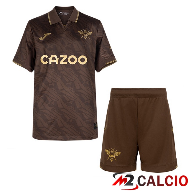 Maglie Calcio Brentford FC Bambino Seconda Marrone 2025/2026