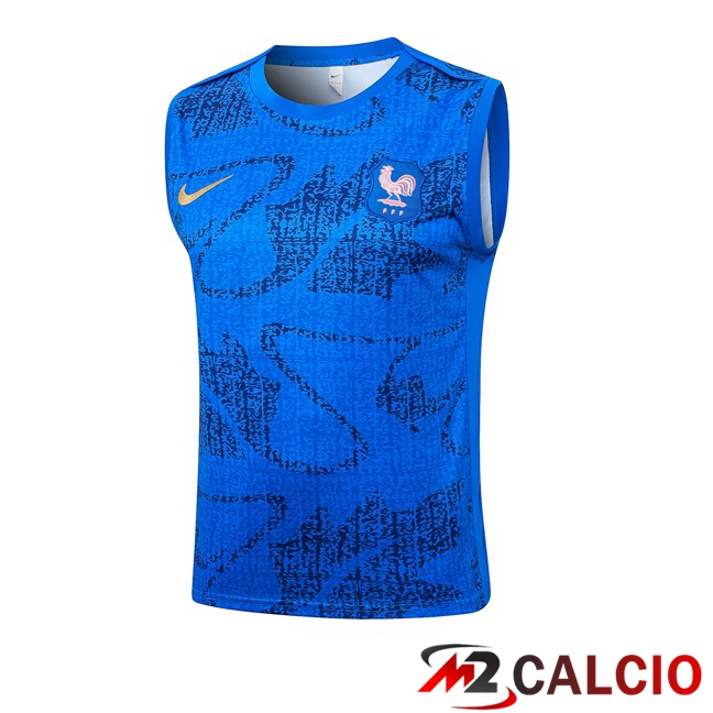 Canotta Allenamento Francia Blu 2025/2026
