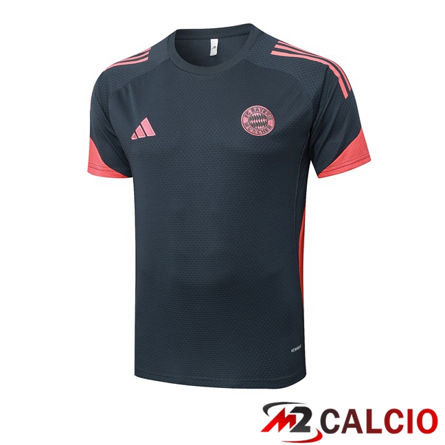 T Shirt Allenamento Bayern Monaco Grigio 2025/2026  T Shirt Allenamento Bayern Monaco Grigio 2025/2026