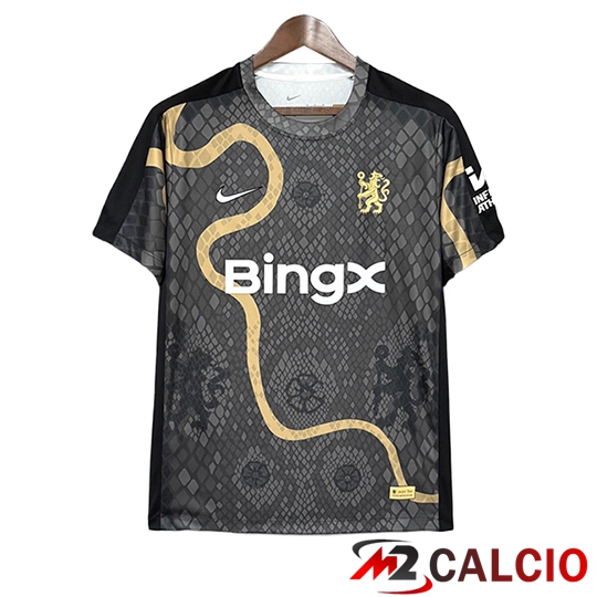 Maglie Calcio Chelsea Special Edition Grigio 2025/2026  Maglie Calcio Chelsea Special Edition Grigio 2025/2026