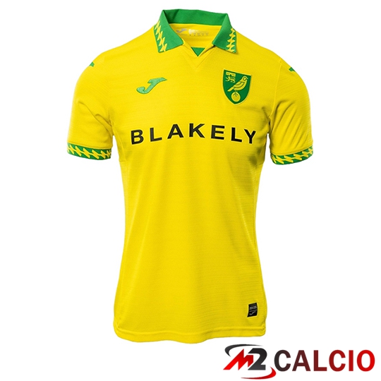 Maglie Calcio Norwich City Prima 2025/2026 Maglie Calcio Norwich City Prima 2025/2026
