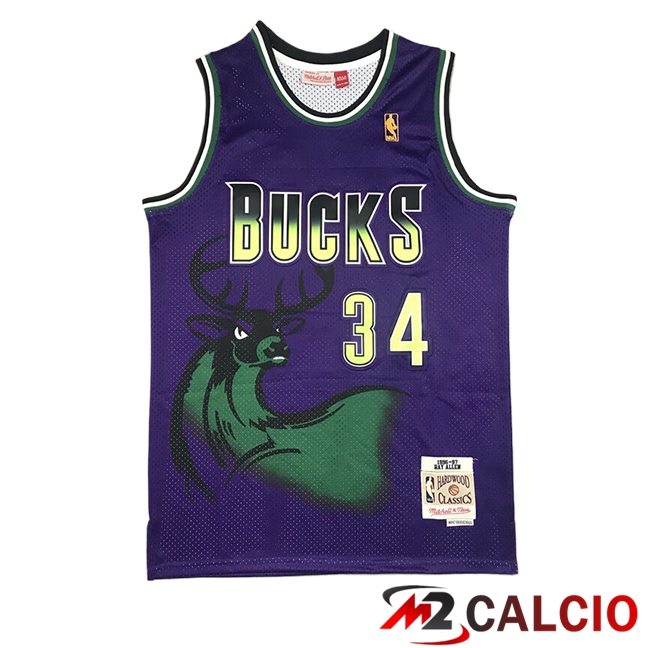 Maglie Milwaukee Bucks (ALLEN #34) 2025/2026 Viola/Verde Maglie Milwaukee Bucks (ALLEN #34) 2025/2026 Viola/Verde